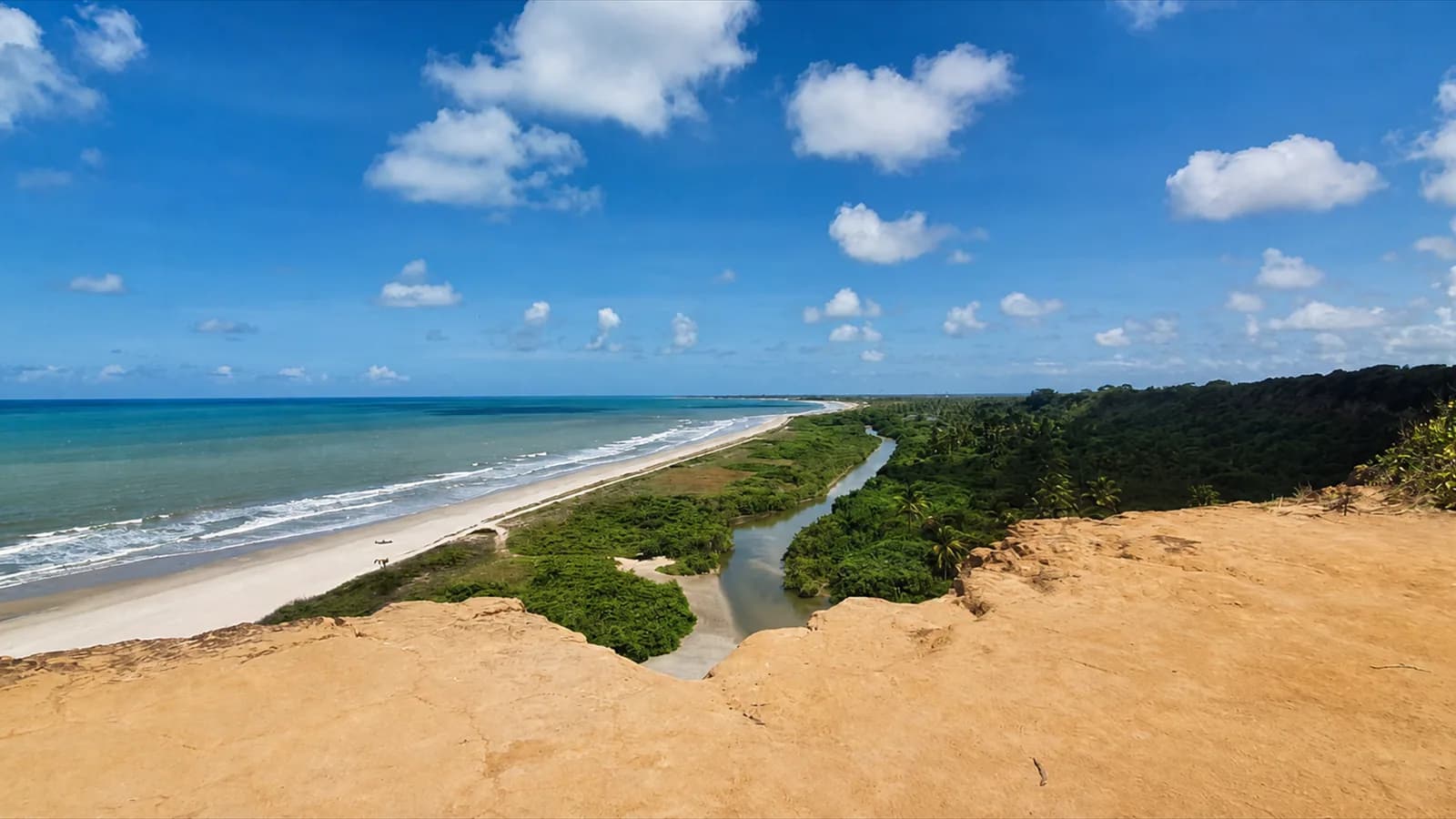 Vista aérea da foz cercada por vegetação